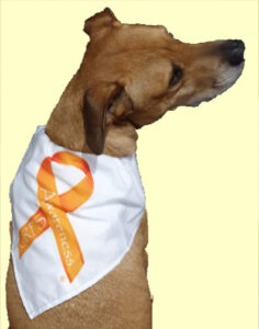CRPS Awareness bandana for you and yours